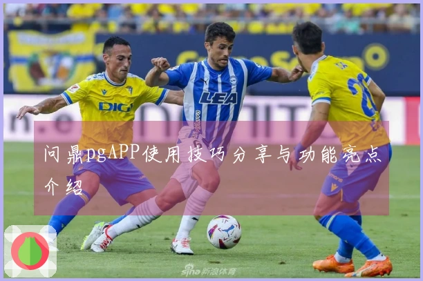 问鼎pgAPP使用技巧分享与功能亮点介绍