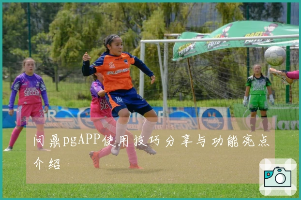 问鼎pgAPP使用技巧分享与功能亮点介绍