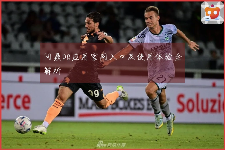 问鼎pg应用官网入口及使用体验全解析